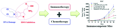 Graphical abstract: Discovery of IDO1 and DNA dual targeting antitumor agents