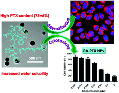 Graphical abstract: Nanoprodrug of retinoic acid-modified paclitaxel