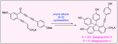 Graphical abstract: Total synthesis of selaginpulvilins A and C