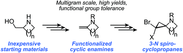 Graphical abstract: Inexpensive multigram-scale synthesis of cyclic enamines and 3-N spirocyclopropyl systems