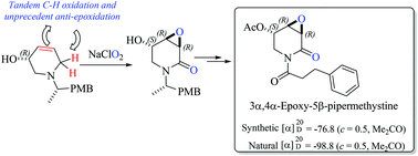 Graphical abstract: The direct and highly diastereoselective synthesis of 3,4-epoxy-2-piperidones. Application to the total synthesis and absolute configurational assignment of 3α,4α-epoxy-5β-pipermethystine