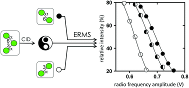 Graphical abstract: Synthesis and structural investigation of a series of mannose-containing oligosaccharides using mass spectrometry