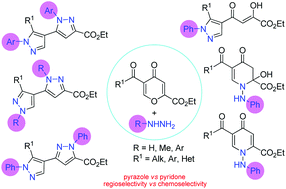 Graphical abstract: A chemo- and regiocontrolled approach to bipyrazoles and pyridones via the reaction of ethyl 5-acyl-4-pyrone-2-carboxylates with hydrazines