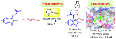 Graphical abstract: Synthesis of spiro-tetrahydrothiopyran-oxindoles by Michael–aldol cascade reactions: discovery of potential P53-MDM2 inhibitors with good antitumor activity