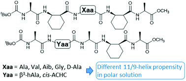 Graphical abstract: Side chain-specific 11/9-helix propensity of α/β-peptides with alternating residue types