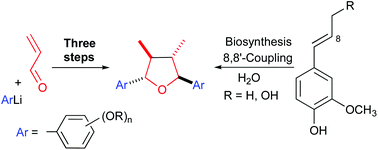 Graphical abstract: Bioinspired total synthesis of tetrahydrofuran lignans by tandem nucleophilic addition/redox isomerization/oxidative coupling and cycloetherification reactions as key steps