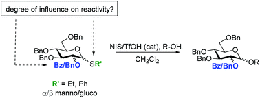 Graphical abstract: Dissection of the effects that govern thioglucoside and thiomannoside reactivity