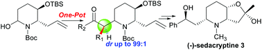 Graphical abstract: Asymmetric synthesis of (−)-sedacryptine through a diastereoselective Mannich reaction of N,O-acetals with ketones