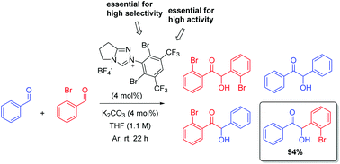 Graphical abstract: Highly chemoselective intermolecular cross-benzoin reactions using an ad hoc designed novel N-heterocyclic carbene catalyst