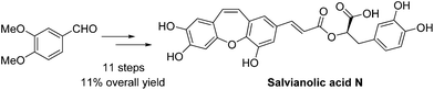 Graphical abstract: Formal total synthesis of salvianolic acid N