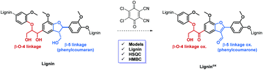 Graphical abstract: Revealing the fate of the phenylcoumaran linkage during lignin oxidation reactions