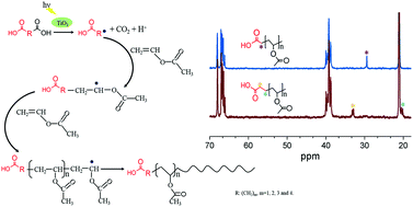 Graphical abstract: Photocatalytic decarboxylation of diacids for the initiation of free radical polymerization