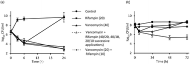 Graphical abstract: How do fluorescence spectroscopy and multimodal fluorescence imaging help to dissect the enhanced efficiency of the vancomycin–rifampin combination against Staphylococcus aureus infections?