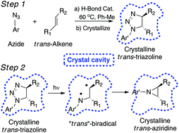 Graphical abstract: Stereospecific photochemistry of Δ2-1,2,3-triazolines in solution and in the solid state: scope and mechanistic studies