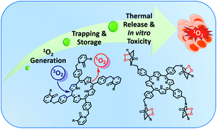 Graphical abstract: Delayed release singlet oxygen sensitizers based on pyridone-appended porphyrins