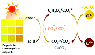 Graphical abstract: A little key to oxalate formation in oil paints: protective patina or chemical reactor?