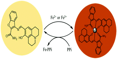 Graphical abstract: Sequential detection of Fe3+/2+ and pyrophosphate by a colorimetric chemosensor in a near-perfect aqueous solution