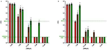 Graphical abstract: Susceptibility of sodA- and sodB-deficient Escherichia coli mutant towards antimicrobial photodynamic inactivation via the type I-mechanism of action