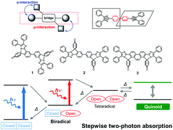 Graphical abstract: Structurally and electronically modulated spin interaction of transient biradicals in two photon-gated stepwise photochromism
