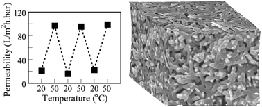 Graphical abstract: Free-standing thermo-responsive nanoporous membranes from high molecular weight PS-PNIPAM block copolymers synthesized via RAFT polymerization