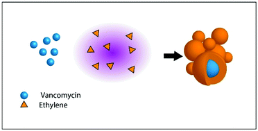 Graphical abstract: Direct plasma synthesis of nano-capsules loaded with antibiotics