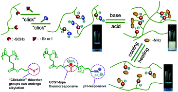 Graphical abstract: Thermo and pH dual responsive polypeptides derived from “clickable” poly(γ-3-methylthiopropyl-l-glutamate)