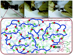 Graphical abstract: Nucleobase-functionalized supramolecular polymer films with tailorable properties and tunable biodegradation rates