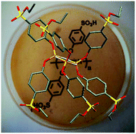 Graphical abstract: Preparation of sulfonic acid functional proton conducting phosphazenes by covalent protection