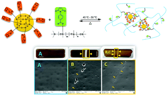 Graphical abstract: Synthesis of a self-healing siloxane-based elastomer cross-linked via a furan-modified polyhedral oligomeric silsesquioxane: investigation of a thermally reversible silicon-based cross-link