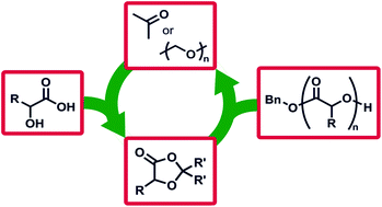 Graphical abstract: A broad scope of aliphatic polyesters prepared by elimination of small molecules from sustainable 1,3-dioxolan-4-ones