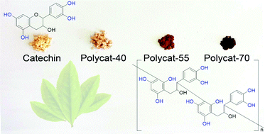 Graphical abstract: Versatile oligomers and polymers from flavonoids – a new approach to synthesis