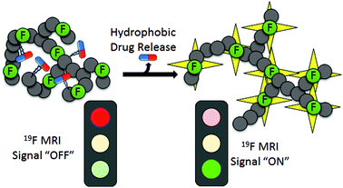 Graphical abstract: Switchable 19F MRI polymer theranostics: towards in situ quantifiable drug release