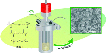 Graphical abstract: One-pot synthesis of micron-sized polybetaine particles; innovative use of supercritical carbon dioxide