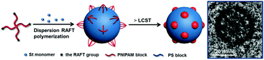 Graphical abstract: In situ synthesis of thermoresponsive 4-arm star block copolymer nano-assemblies by dispersion RAFT polymerization