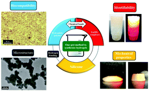 Graphical abstract: A novel high-strength polymer hydrogel with identifiability prepared via a one-pot method