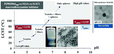 Graphical abstract: Nitroxide-mediated polymerization-induced self-assembly of amphiphilic block copolymers with a pH/temperature dual sensitive stabilizer block