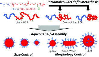 Graphical abstract: A facile strategy for manipulating micellar size and morphology through intramolecular cross-linking of amphiphilic block copolymers