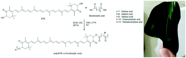 Graphical abstract: Astaxanthin-based polymers as new antimicrobial compounds