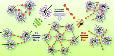 Graphical abstract: Fabrication of multi-stimuli responsive supramolecular hydrogels based on host–guest inclusion complexation of a tadpole-shaped cyclodextrin derivative with the azobenzene dimer