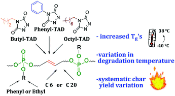 Graphical abstract: Triazolinedione-“clicked” poly(phosphoester)s: systematic adjustment of thermal properties