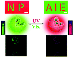 Graphical abstract: Photoswitchable fluorescent polymeric nanoparticles for rewritable fluorescence patterning and intracellular dual-color imaging with AIE-based fluorogens as FRET donors
