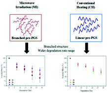 Graphical abstract: Tailoring degree of esterification and branching of poly(glycerol sebacate) by energy efficient microwave irradiation