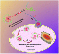 Graphical abstract: “Y”-shape armed amphiphilic star-like copolymers: design, synthesis and dual-responsive unimolecular micelle formation for controlled drug delivery