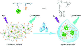 Graphical abstract: Tunable emission of a tetraphenylethylene copolymer via polymer matrix assisted and aggregation-induced emission