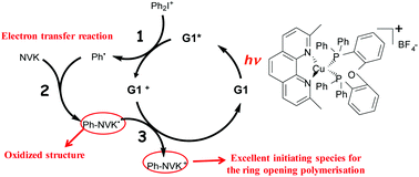 Graphical abstract: Copper photoredox catalyst “G1”: a new high performance photoinitiator for near-UV and visible LEDs