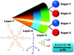 Graphical abstract: Heterolayered hybrid dendrimers with optimized sugar head groups for enhancing carbohydrate–protein interactions