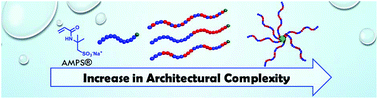 Graphical abstract: Anionic multiblock core cross-linked star copolymers via RAFT polymerization