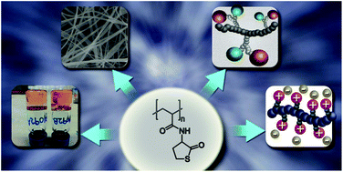 Graphical abstract: Poly(acrylamide-homocysteine thiolactone) as a synthetic platform for the preparation of polymeric ionic liquids by post ring-opening-orthogonal modifications