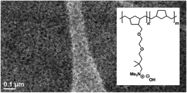 Graphical abstract: Synthesis and characterization of anion-exchange membranes based on hydrogenated poly(norbornene)