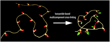 Graphical abstract: Single-chain nanoparticles containing sequence-defined segments: using primary structure control to promote secondary and tertiary structures in synthetic protein mimics